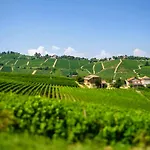 Da Maurizio Daire